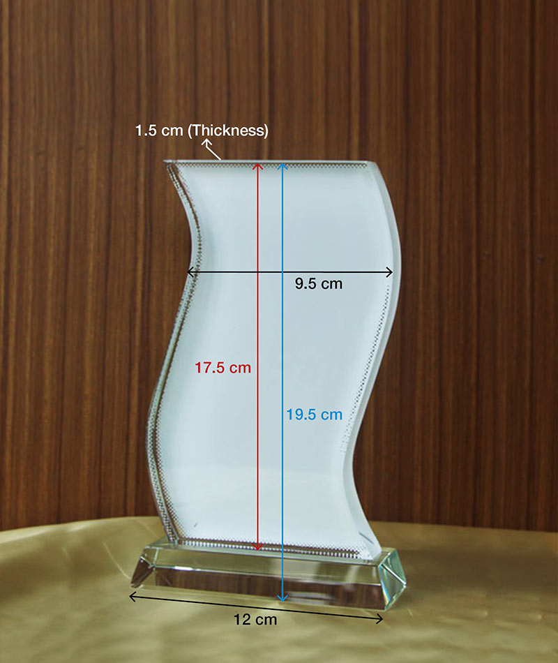 Wavy Shaped Crystal Plaque Award