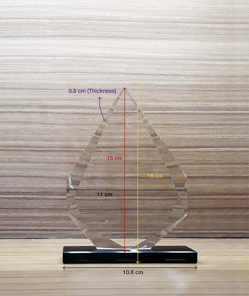 Crystal Award Trophy