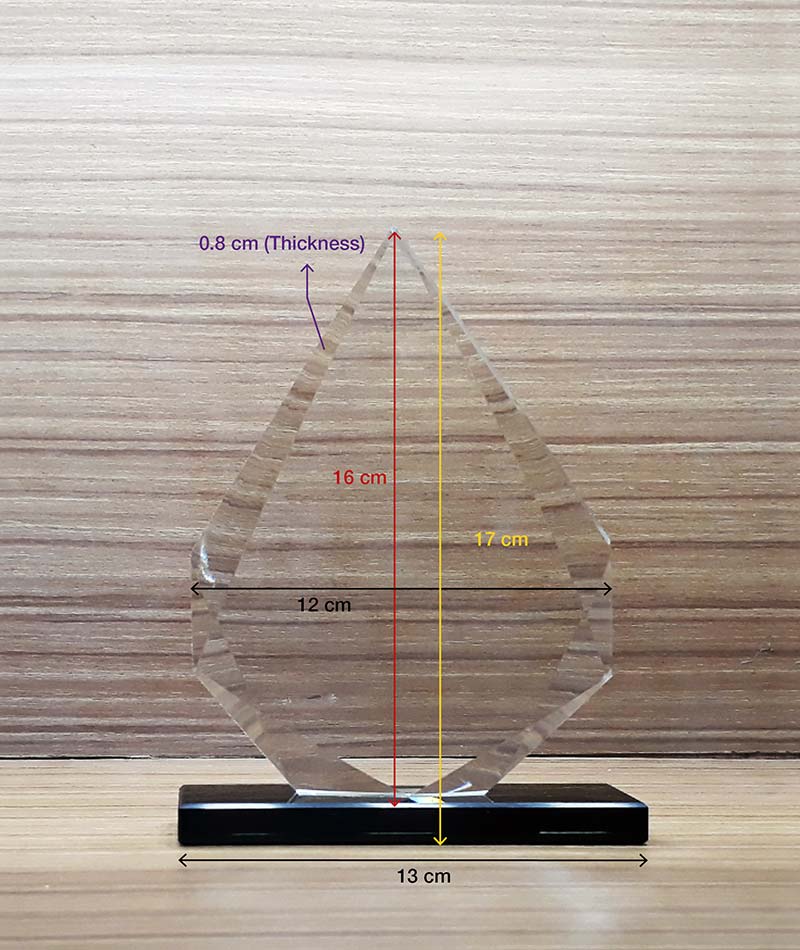 Crystal Award Trophy