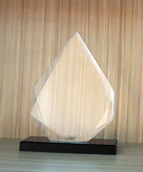 Award Crystal Trophy_ACT 006
