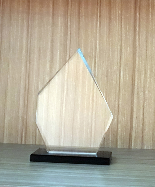 Award Crystal Trophy_ACT 007