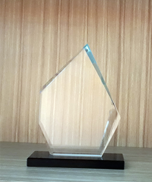 Award Crystal Trophy_ACT 008