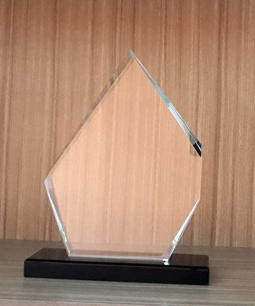 Award Crystal Trophy_ACT 009