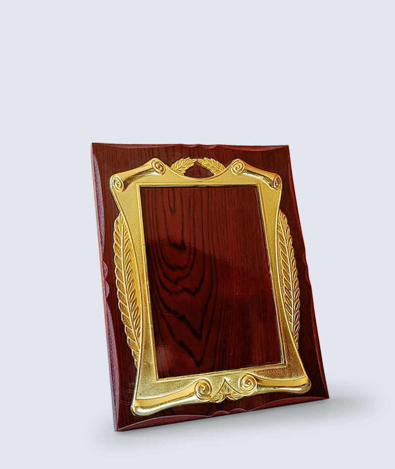 Award Plaque, Token of Love Nepal — Medium Size, TOL 023