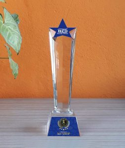 Rising Star Crystal Award 27 cm