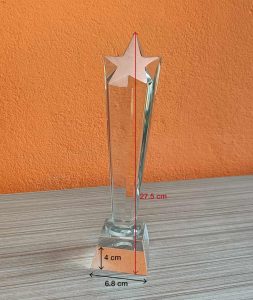 Rising Star Crystal Award 27 cm