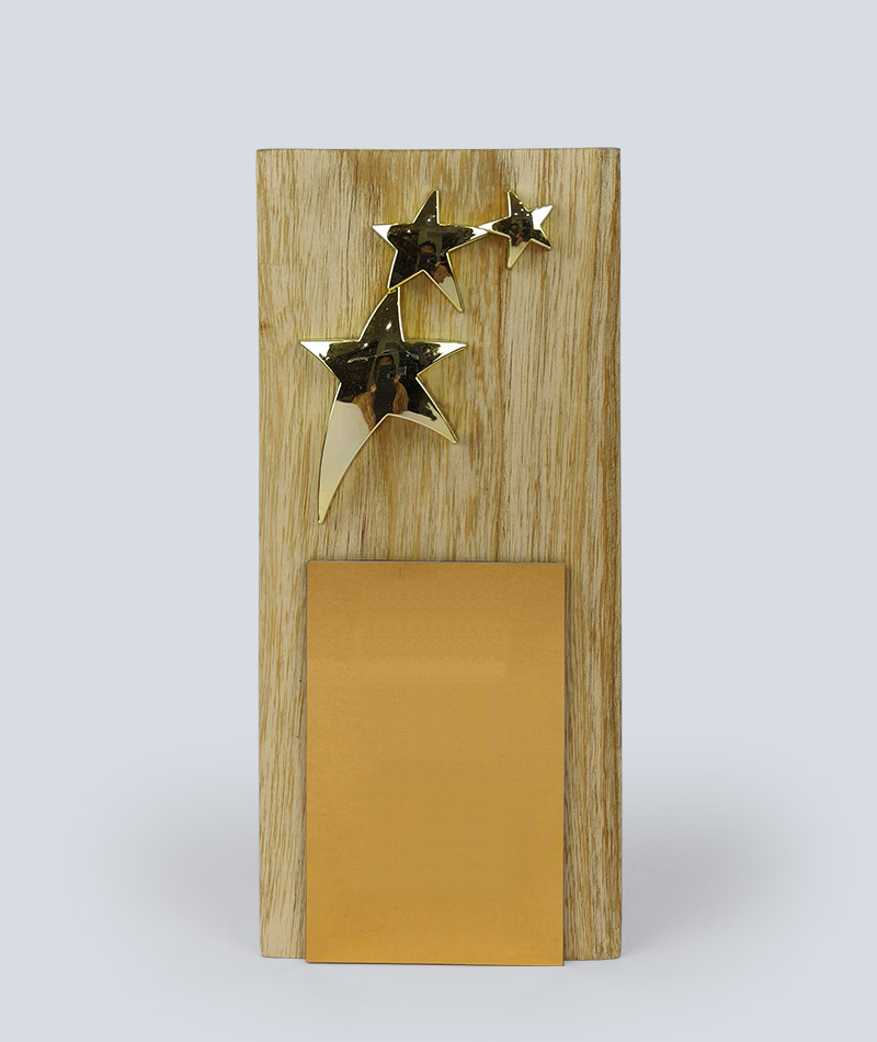 Wooden Award