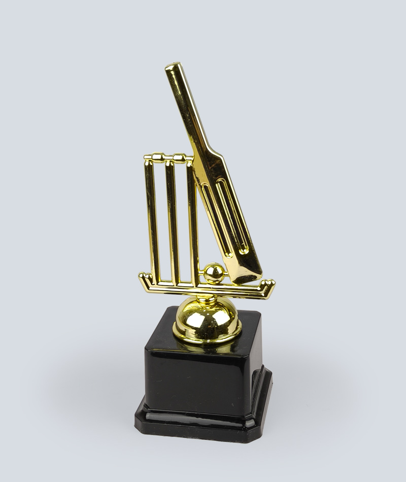 Cricket Tournament Award
