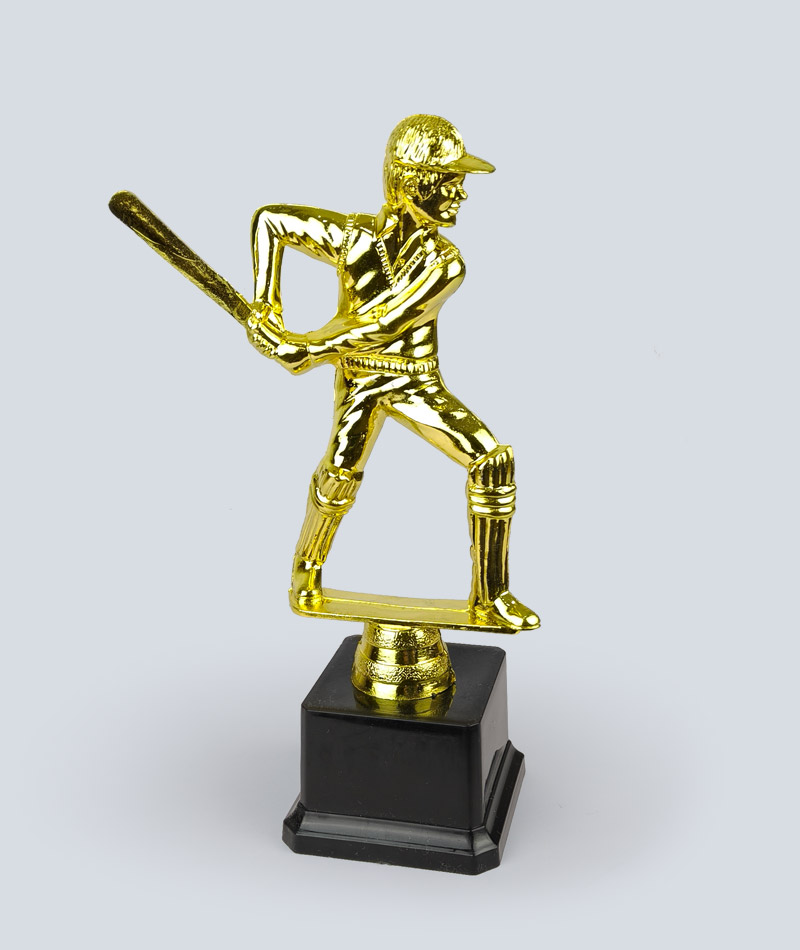 Cricket Trophy Award, Man of the Match