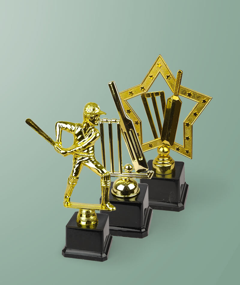 Cricket Award Trophy