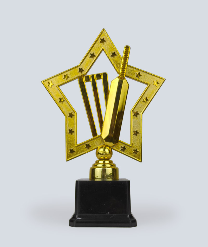Man of the Match, Cricket Award