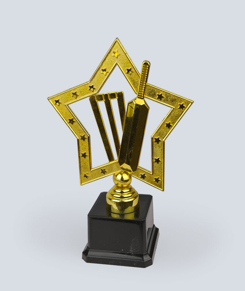 Man of the Match, Cricket Award